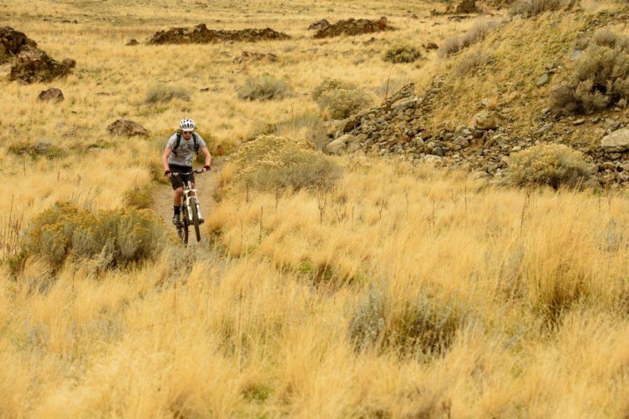 Mountain+Biking+at+Antelope+Island+with+Peter%2C+Jessica%2C+and+the+Bison+on+Sunday%2C+October+30%2C+2016