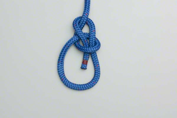 bowline knot tutorial