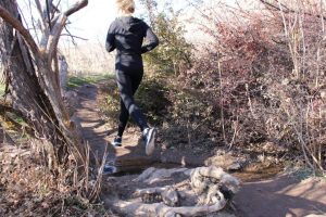 Getting Into Trail Running