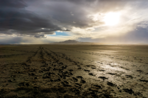 Why We Need to Help Save The Great Salt Lake