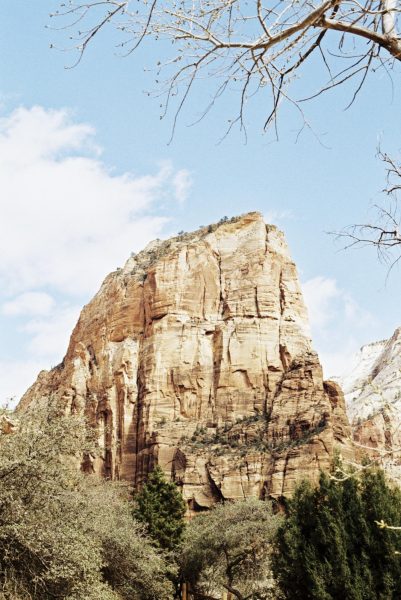 Camping in Zion National Park Just Got a Little More Expensive