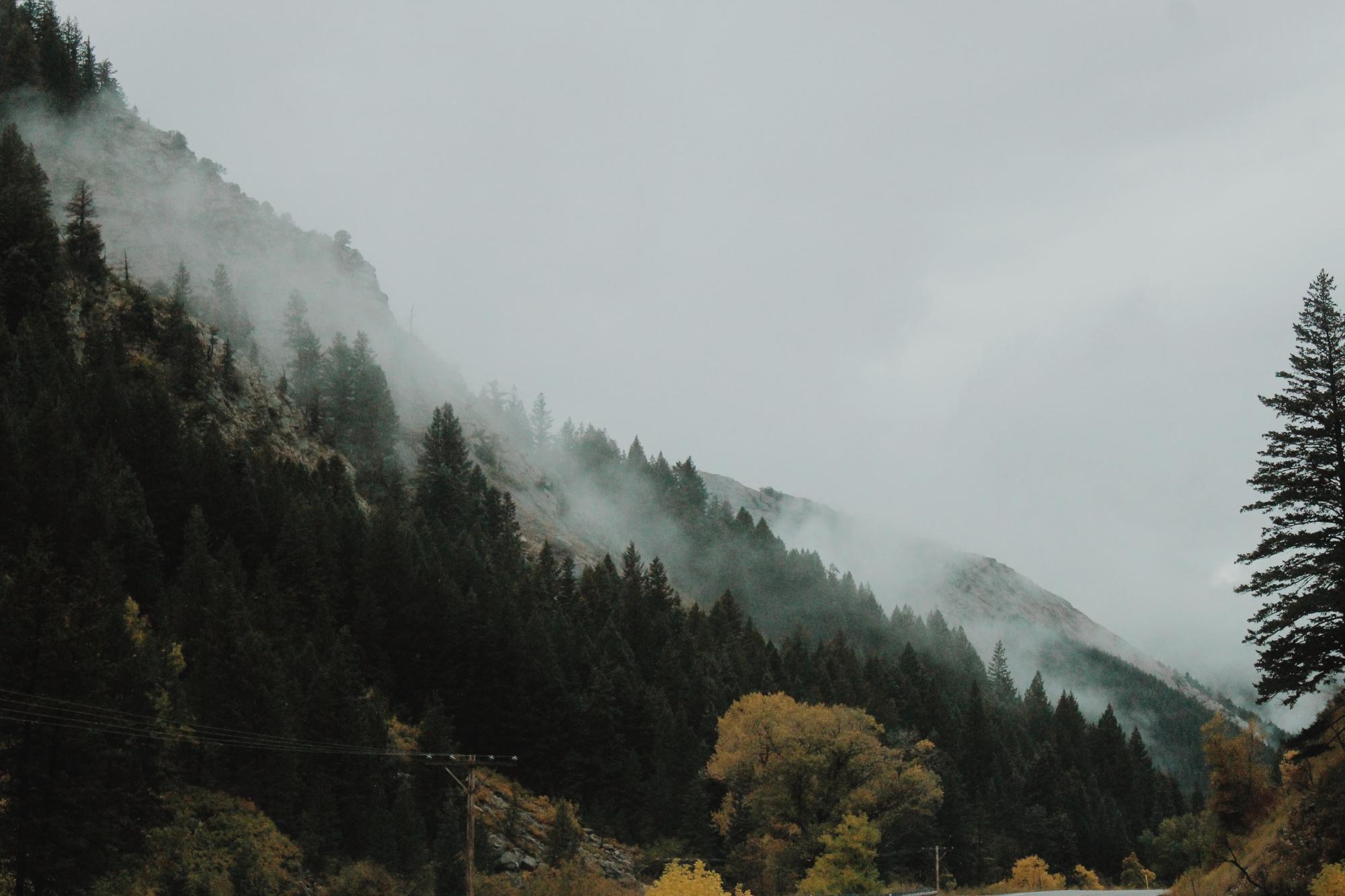 An Ode to Rain - Wasatch Magazine