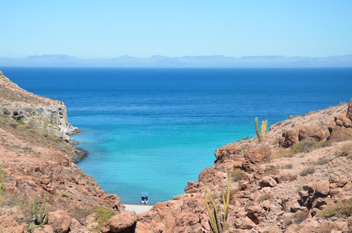 A Field Trip to Baja California Sur