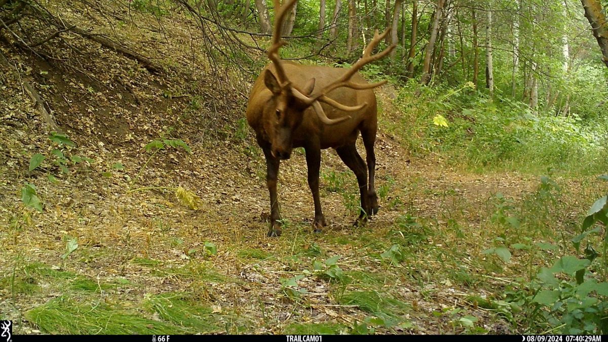 Outdoor Research at the U: Caught on Camera