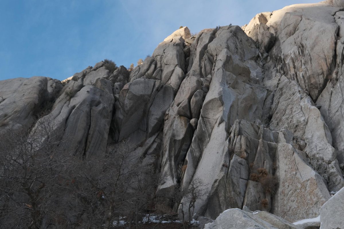 Little Cottonwood Rock: Alpenbock