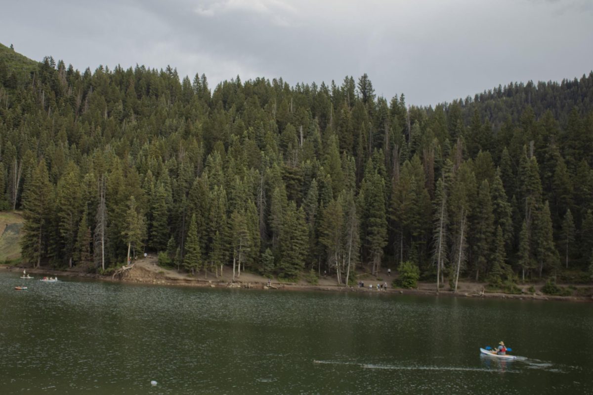 Paddleboarding's Growing Popularity