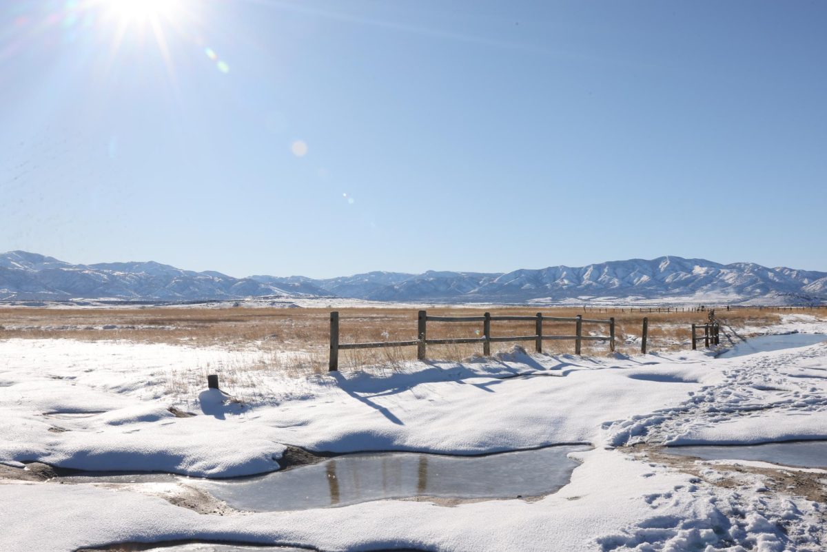 The Meadow Hot Springs: A Robbed Local Treasure