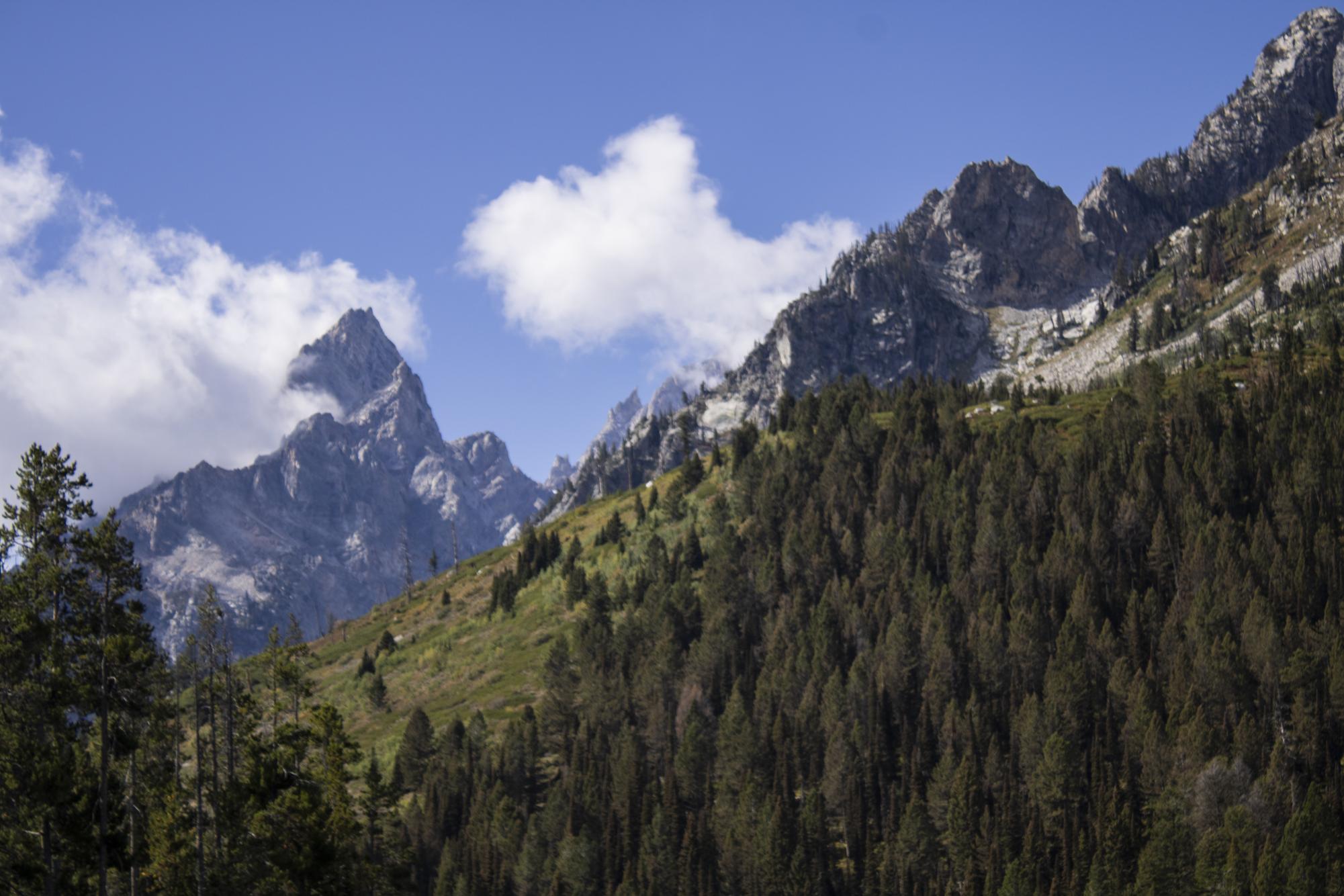 24 Hours in Grand Teton National Park - Wasatch Magazine