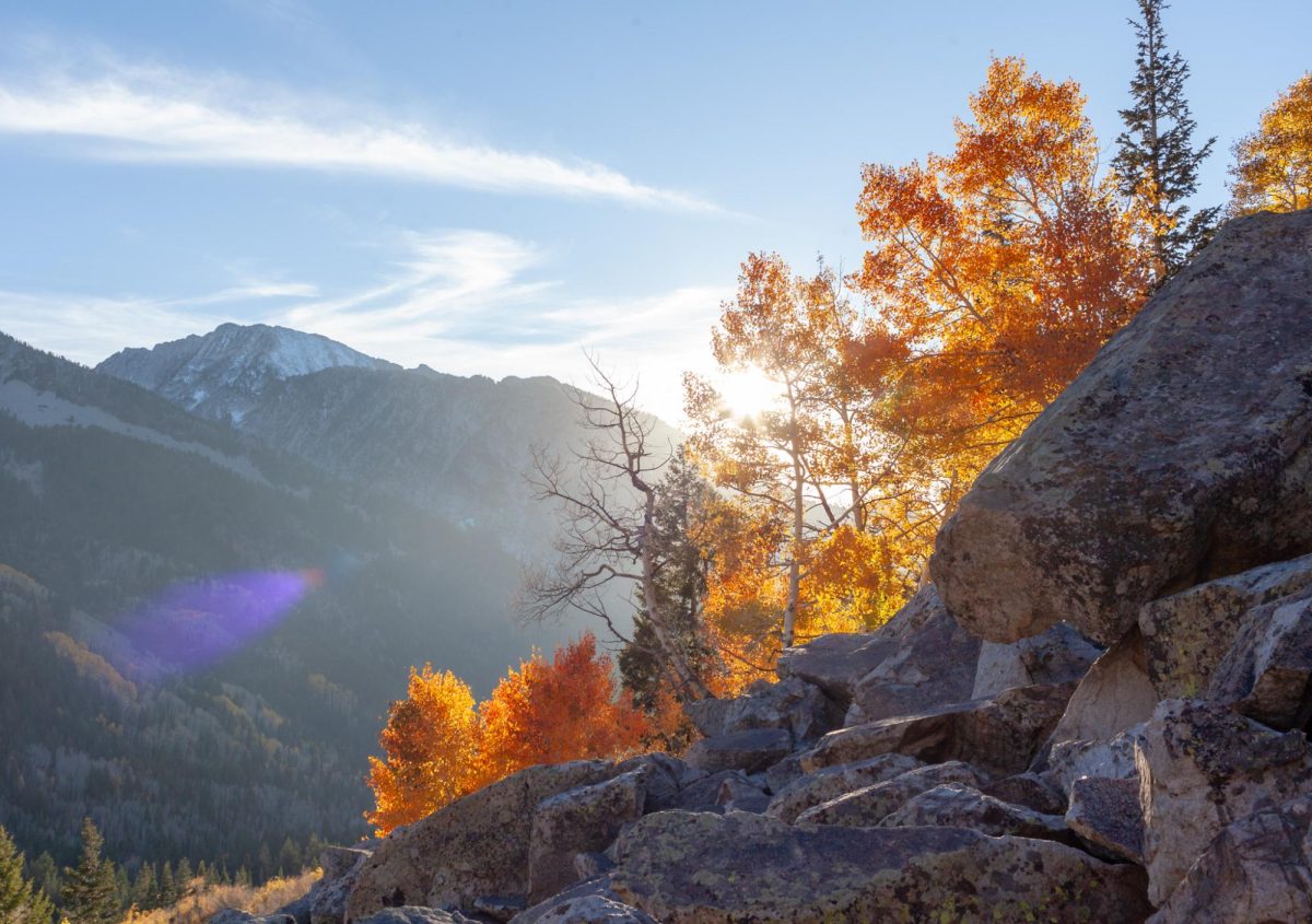 Little Cottonwood Rock: A Love Letter